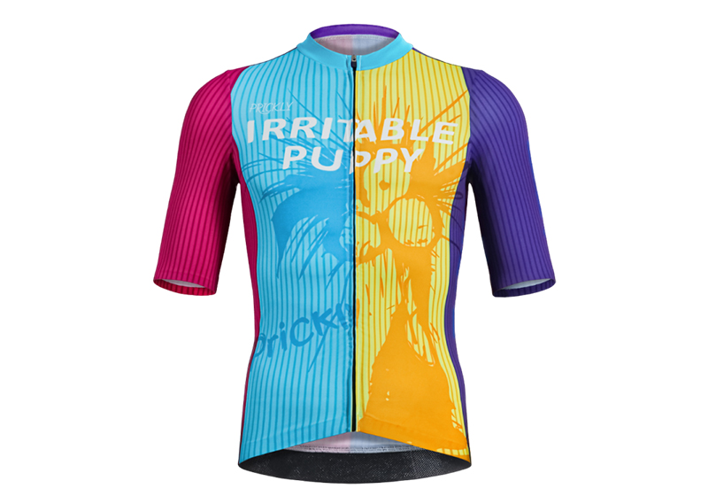 RT0042 Men&rsquo;s Custom Pro Cycling Jersey-Colorful 